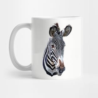 Mr Stripes the Zebra Mug